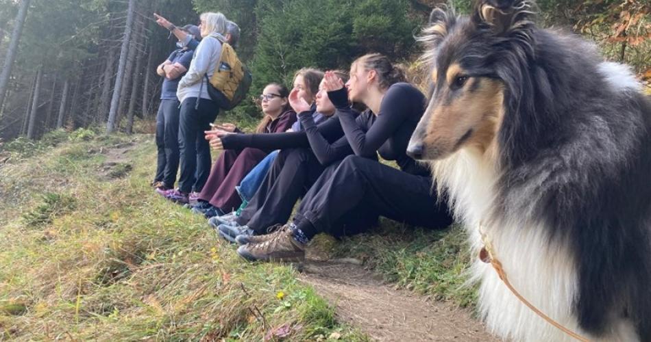 Schüler*innen des Student Mobility Programme und ein Border Collie machen am Waldboden sitzend Pause. 