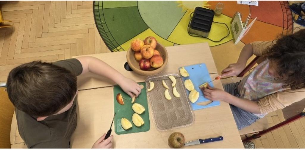 P1 Picture 2 P1 Picture 2